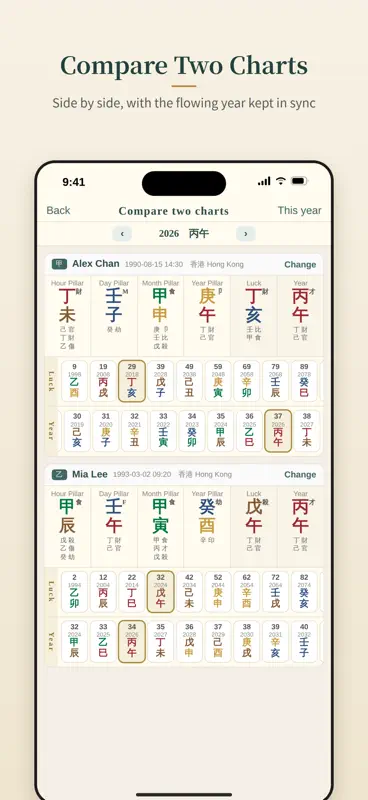 DRAGON BaZi Chart screenshot 6 of 7