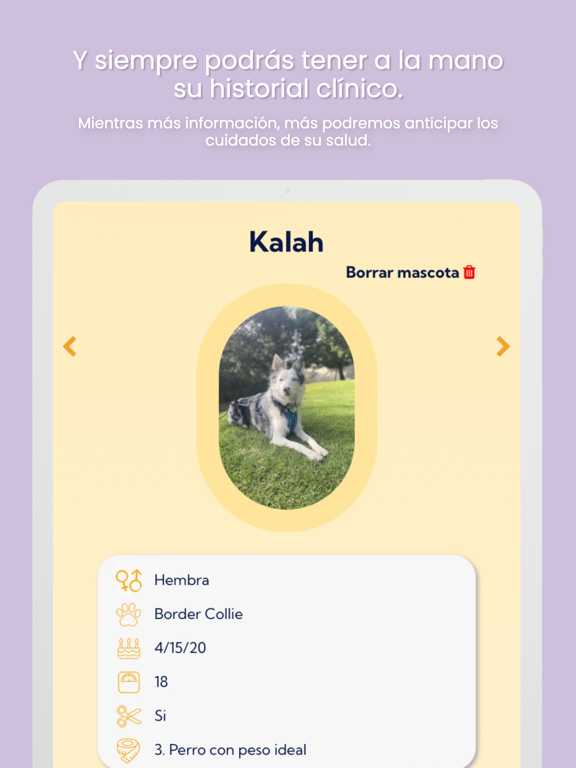 Wuufy iPad screenshot 6 - Lifestyle app