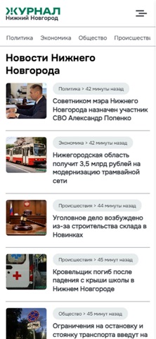 Журнал Нижний Новгород screenshot