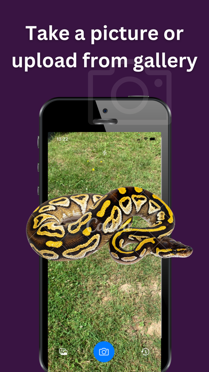 Snake Identifier AI Scanner