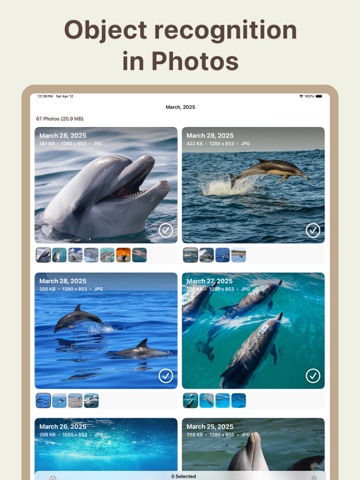 Similarshot: Choose Best Photo iPad screenshot