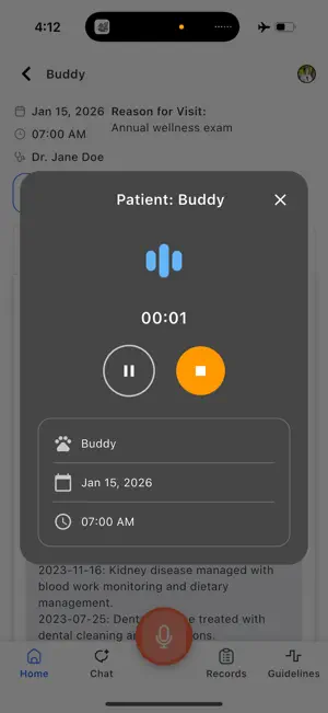 FydoDX screenshot 2