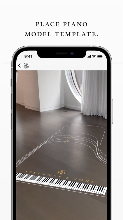 Steinway Room View screenshot-6