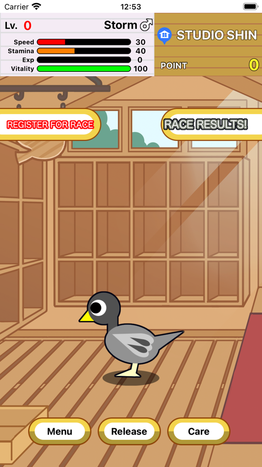 Race Pigeon - 3.0.5 - (iOS)