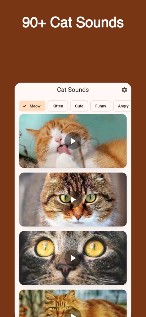 cat-sounds-meow-library-entertainment-app-mwm
