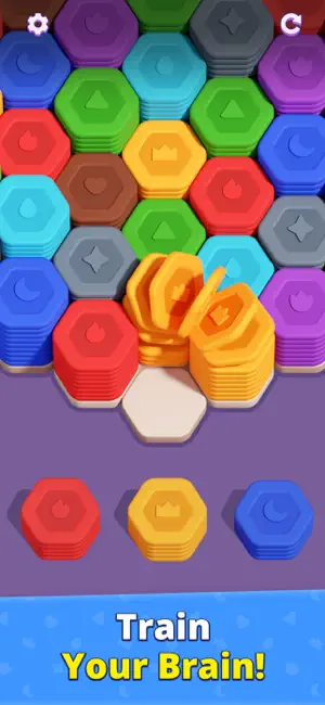 Hexa Journey: Sort Puzzle screenshot 2