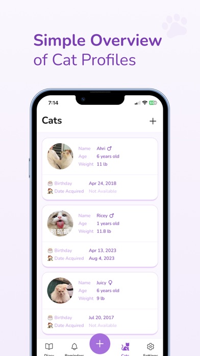 Cat Journal-Cat Care Companion Screenshot