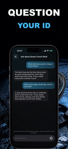 Shellr AI: Seashell ID Screenshot 5 of 6