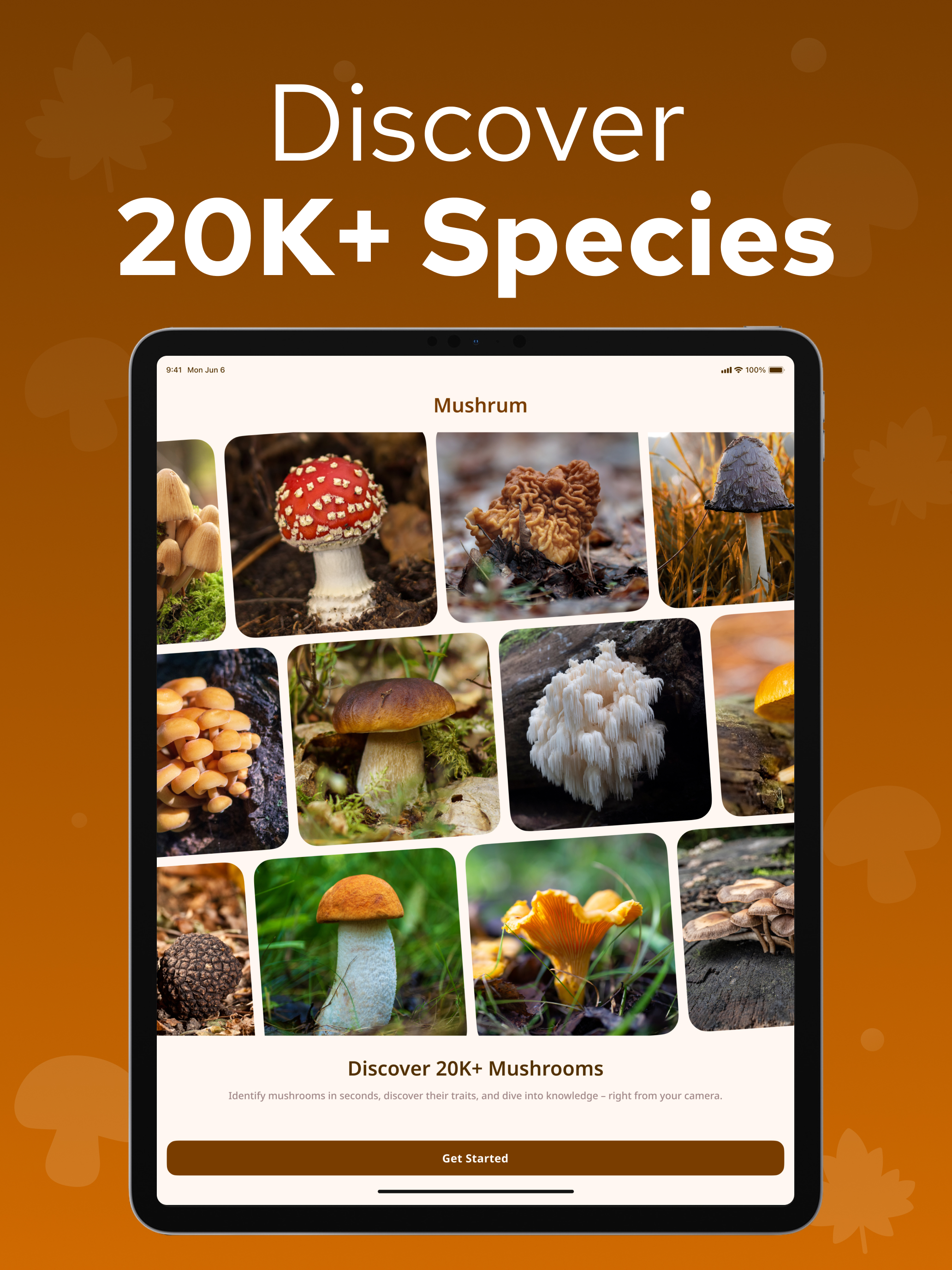 Mushroom Identifier – Mushrum screenshot 16