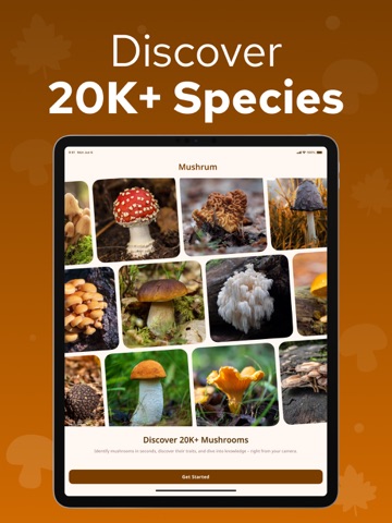 Mushroom Identifier – Mushrum iPad screenshot