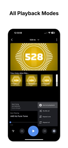 528 Player Plus Screenshot 4 of 7
