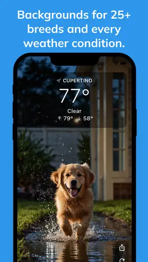 Woof Weather - Dog Forecast screenshot 2