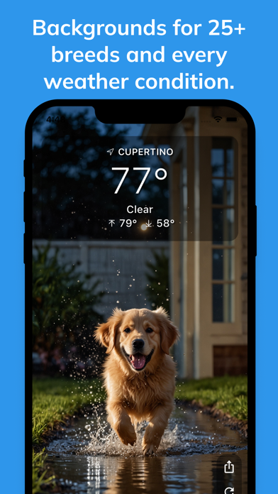 Woof Weather - Dog Forecast iPhone screenshot 2 - Weather app