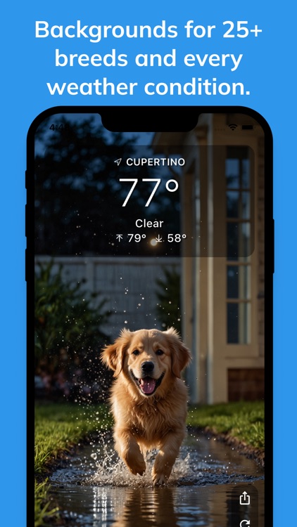 Woof Weather - Dog Forecast