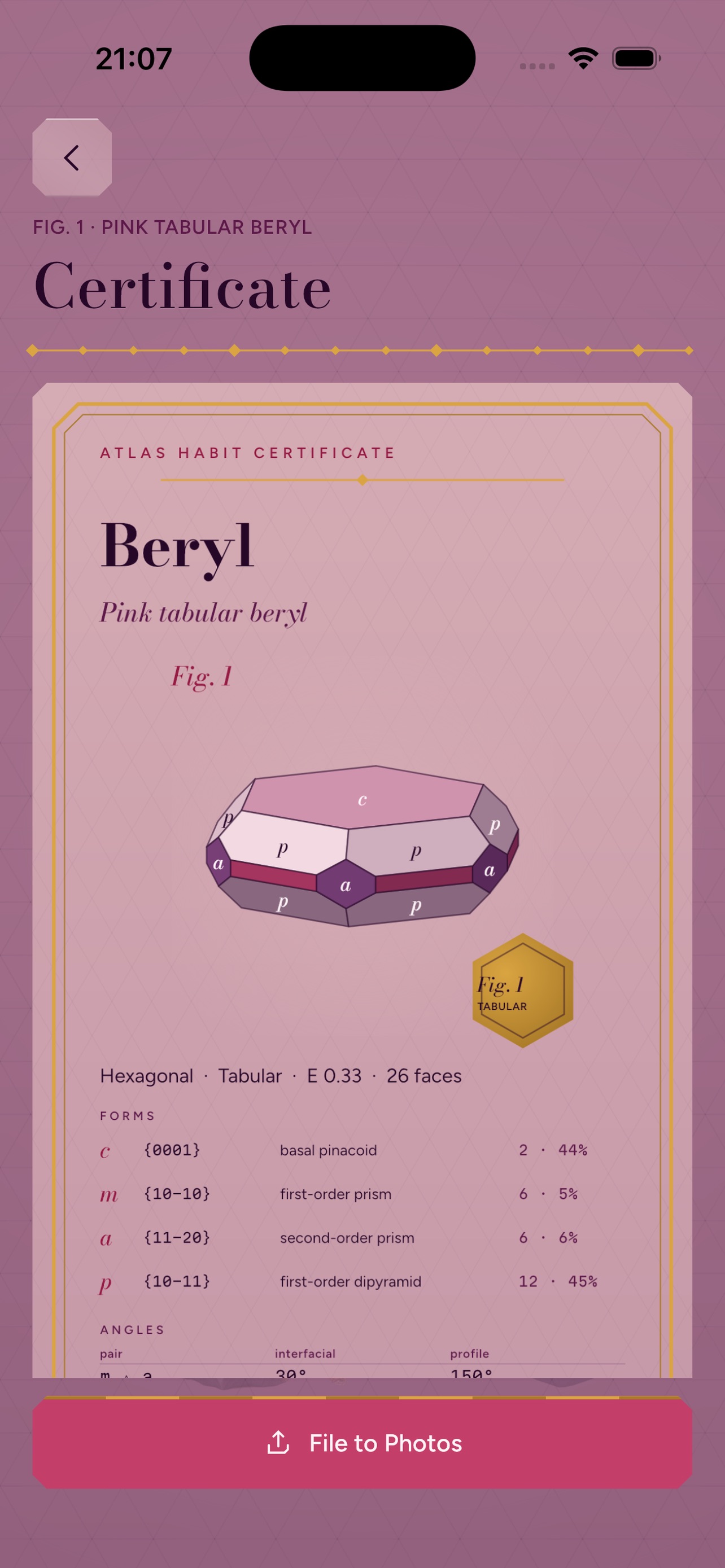 Screenshot 5 of Berryle