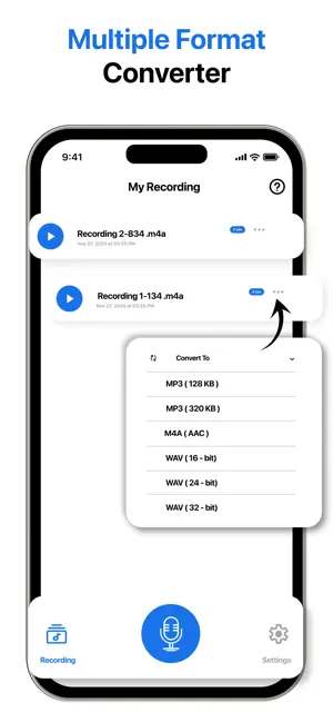 Voice Access - Voice Recorder screenshot 4