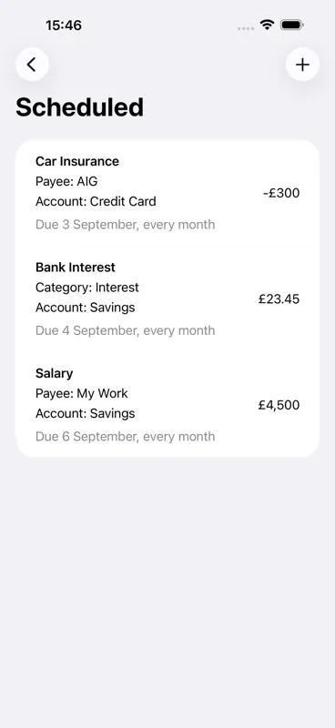Debit & Credit screenshot 6 of 7