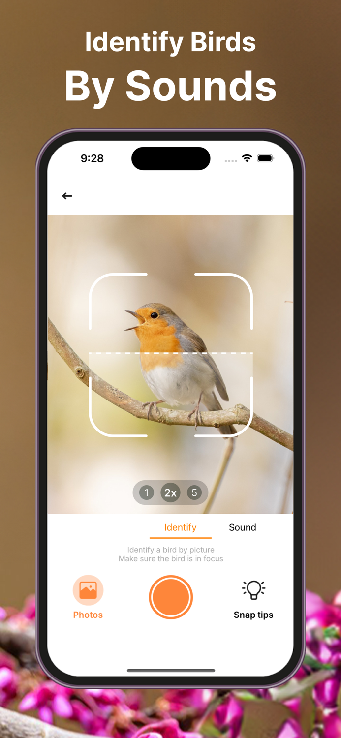 Bird Call Identifier Sounds ID