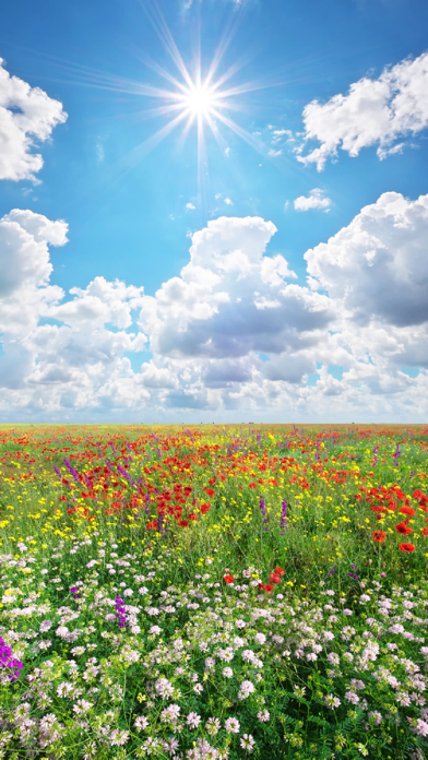 Sound Touch - Seasons (School) Screenshot