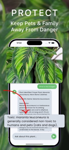 Leaf Identifier – Leafdify Screenshot 5 of 5