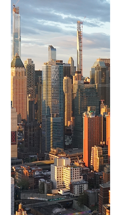 CONFIRM NYC Screenshot