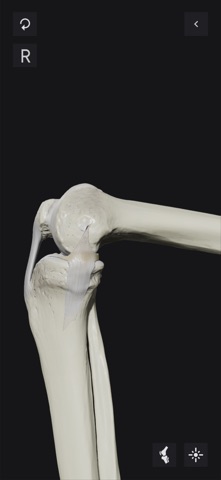 Knee Biomechanics screenshot