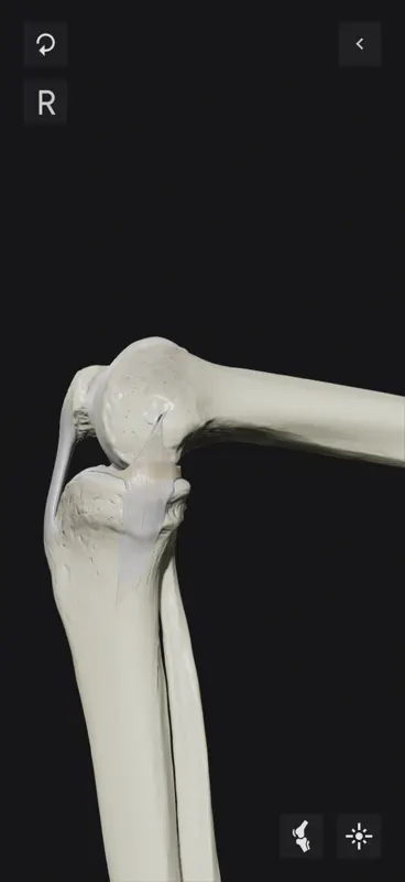 Knee Biomechanics screenshot 8 of 10