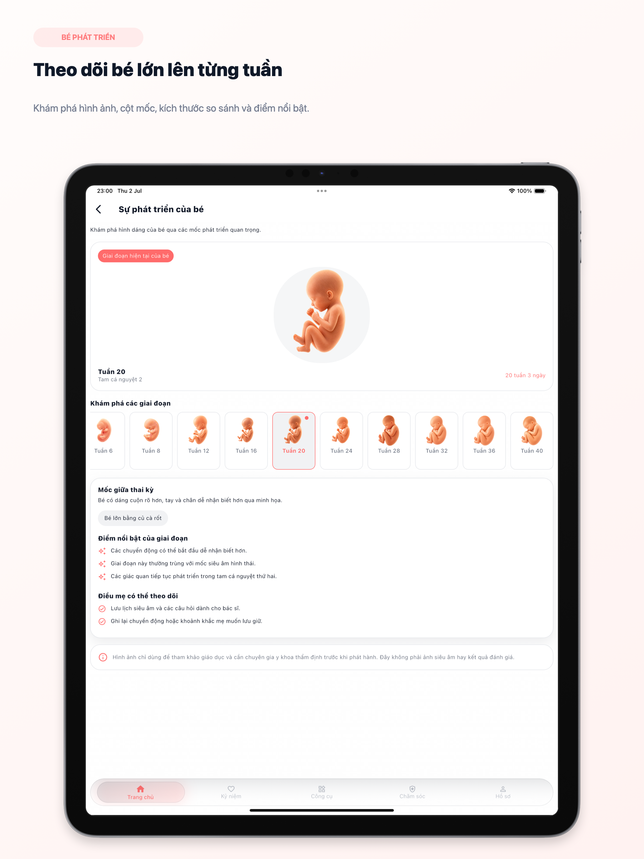 Lumi: Pregnancy Tracker screenshot 8