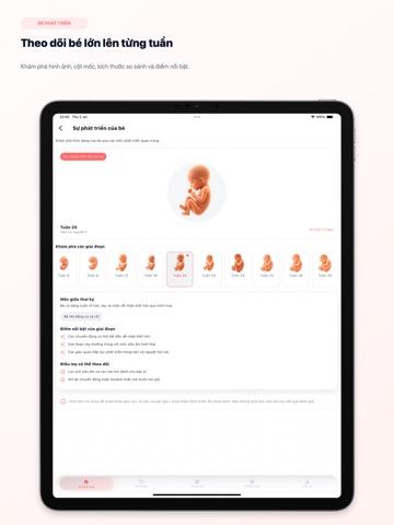 Lumi: Pregnancy Tracker iPad screenshot 2