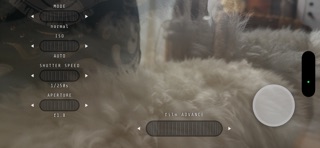 film ADVANCE Screenshot 4 of 4