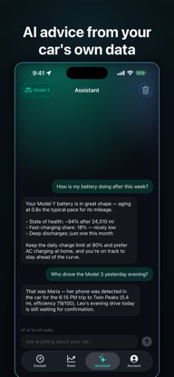 Wristla: Tesla AI Assistant screenshot 4