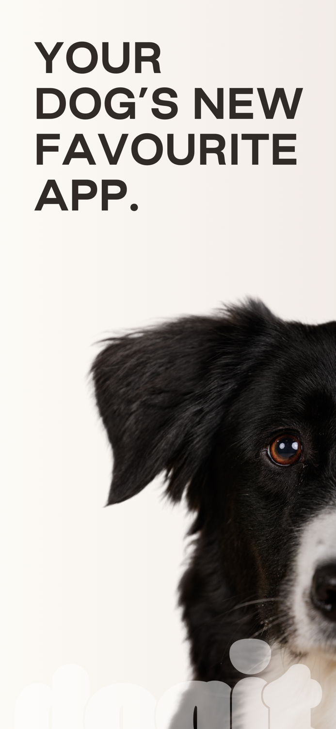 Dogit - Dog  Puppy Training