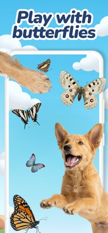 Dog Games - Pet Games iPhone screenshot