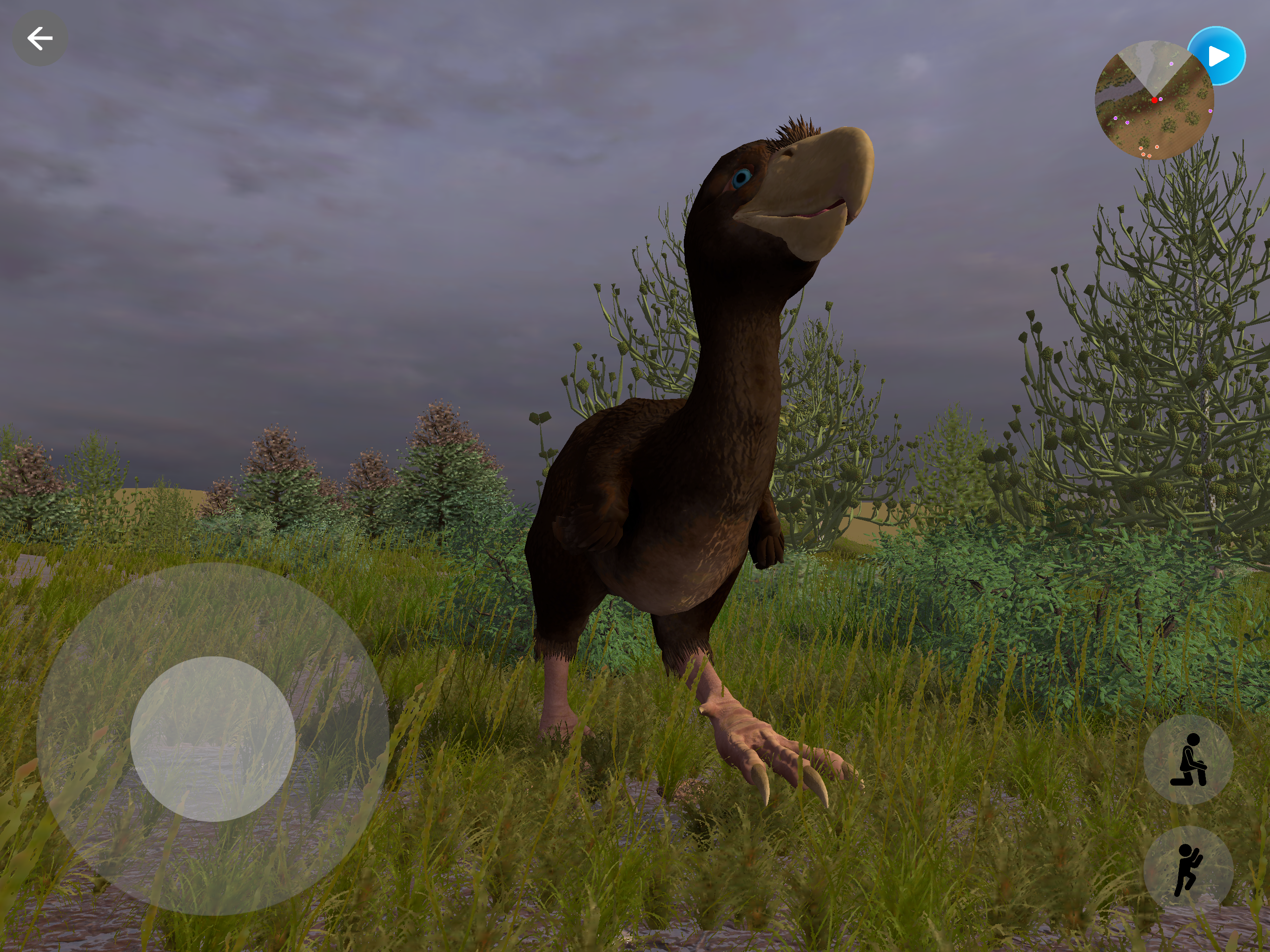 3D Dinopedia: Paleontology screenshot 19