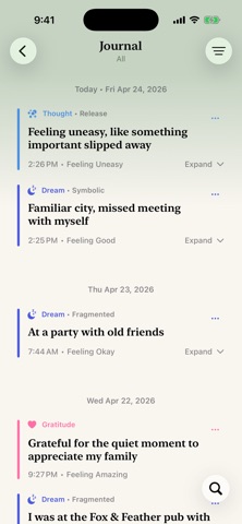 Vael Journal screenshot
