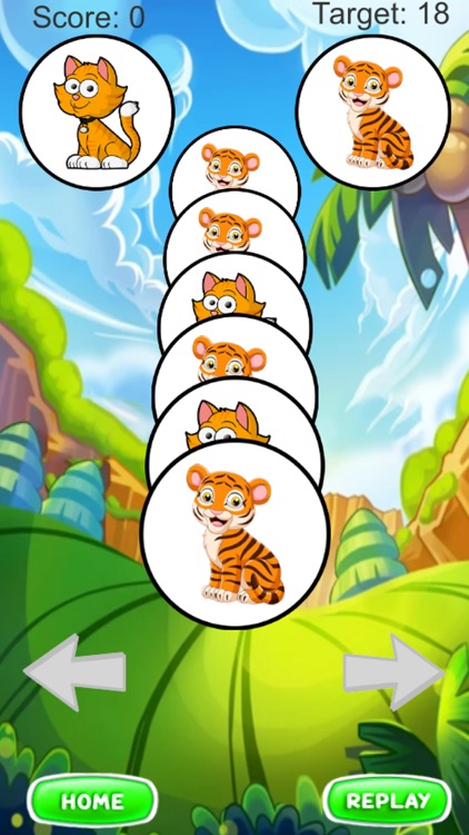 Watermelon Fruit Merge Game 3D screenshot-5