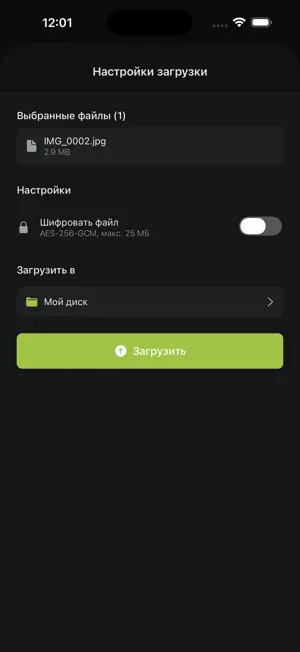 DownloadRu screenshot 4