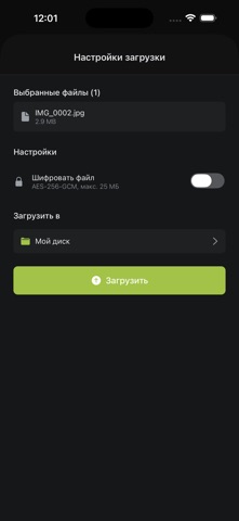 DownloadRu screenshot