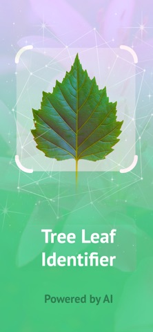 Tree Leaf Identifier Screenshot 1 of 8
