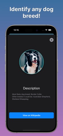 Dog Scanner: Breed Identifier Screenshot 2 of 5