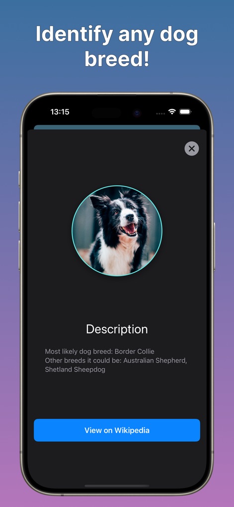Dog Scanner: Breed Identifier - Utilities App | MWM