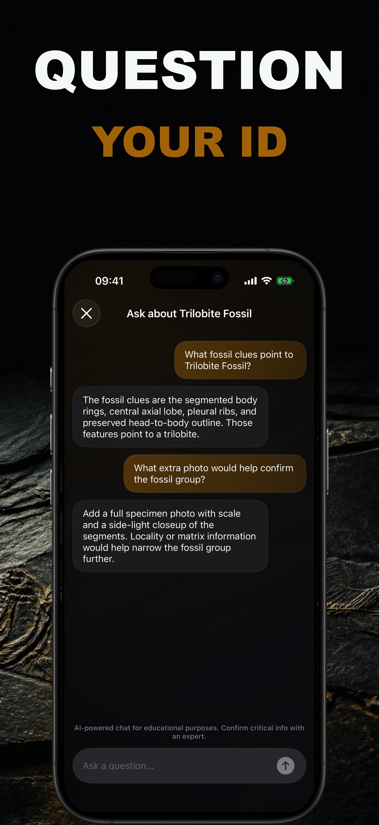Fossilr AI: Fossil ID screenshot 5