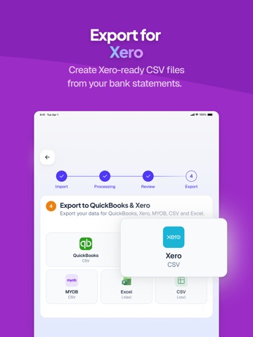 Bank Statement Converter iPad screenshot