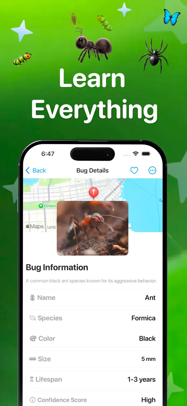 #3. Bug Finder: Identifier (iOS) Ved: Eren Berkay Dinc