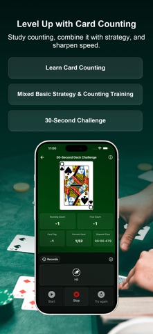 Blackjack Strategy & Counting screenshot
