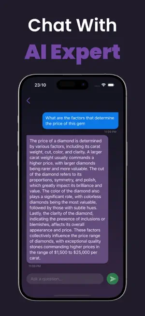 Gem Identifier AI screenshot 3
