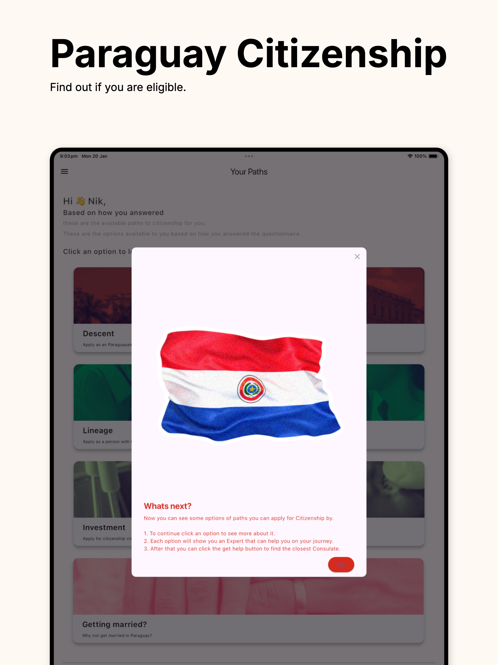 CitizenPY: Paraguay Citizen screenshot 10