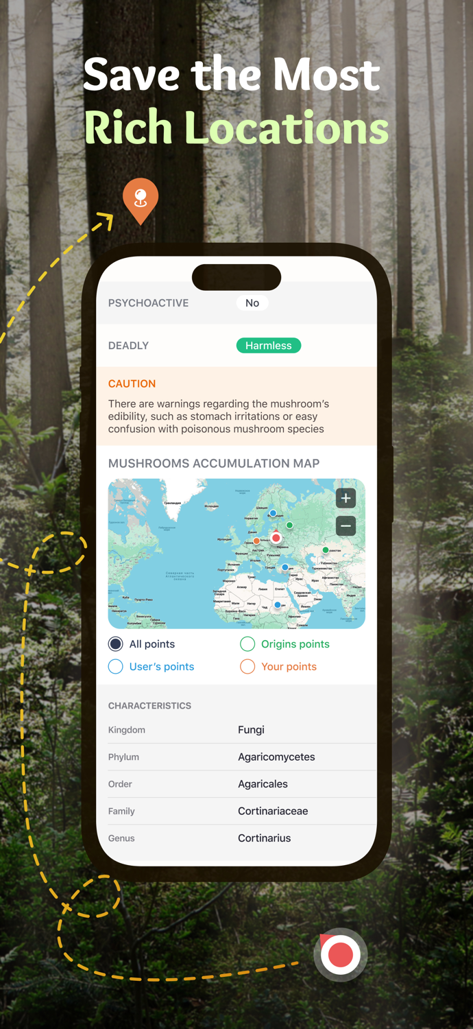 Mushroom Identifier ID Picture