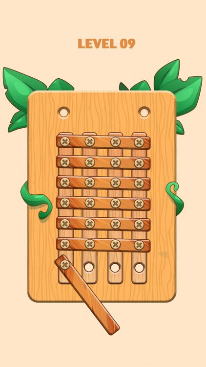 Unscrew Wood Nuts & Bolts Game