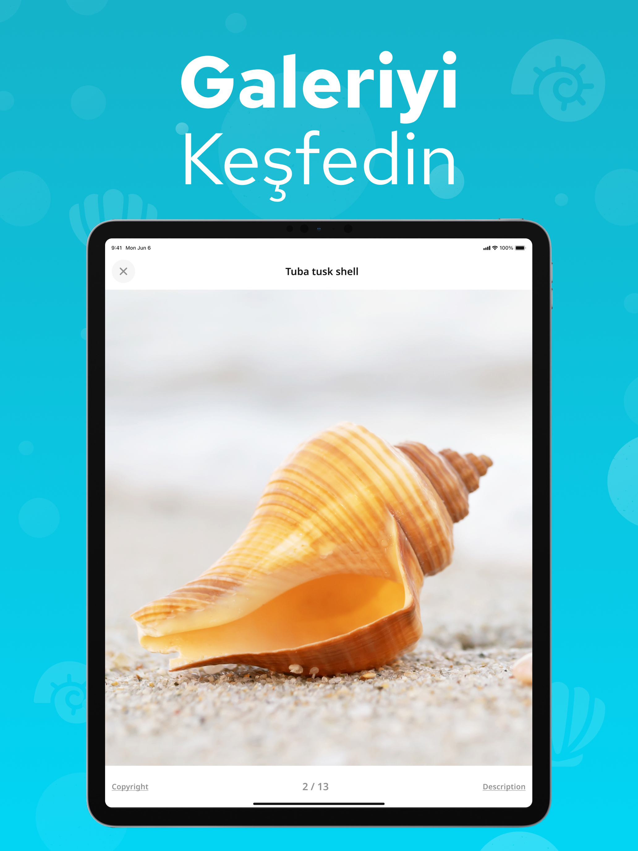 https://is1-ssl.mzstatic.com/image/thumb/PurpleSource221/v4/c2/ff/91/c2ff9199-4ea6-a312-9cfd-e9924c115016/IPad__U007c_Screen_4.jpg/2064x2752.png